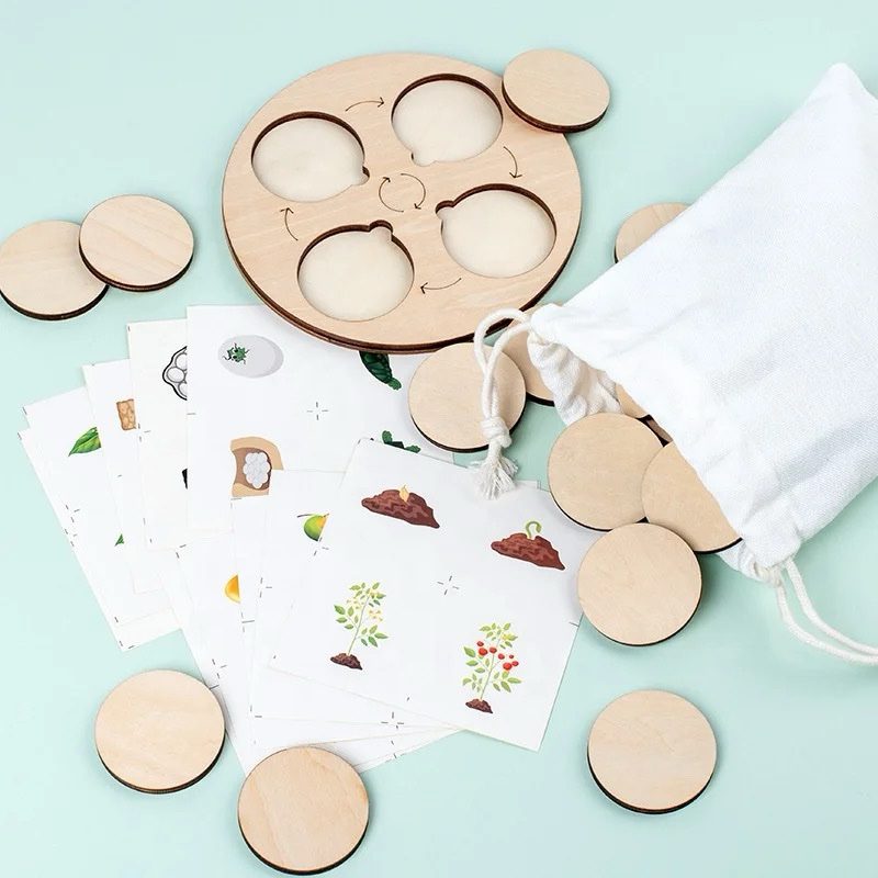 10-in-1 Wooden Life Cycle Puzzle Set – Montessori Science Activity for Kids