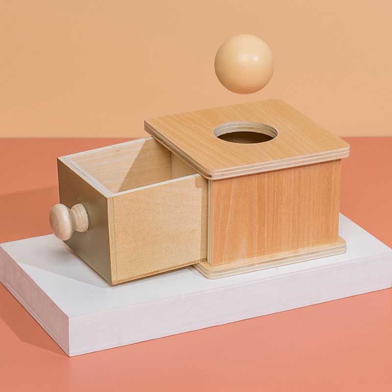 Fidtoy Montessori Object Permanence Box for Toddlers 6-36 Months Educational Fine Motor Toy