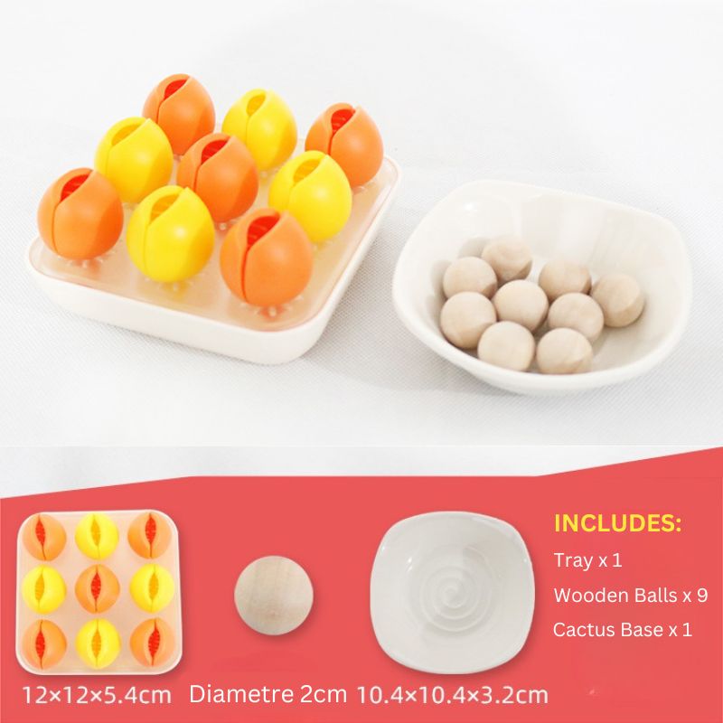 Montessori Cactus and Ball Finger Activity Tool