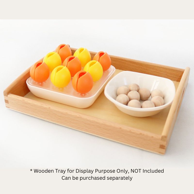 Montessori Cactus and Ball Finger Activity Tool