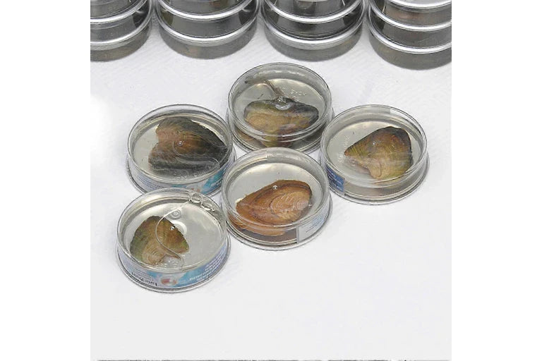 DIY Pendant with Natural Pearl Real life Arts and Craft