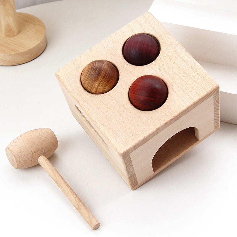 Premium Natural Wood Educational Toy Set