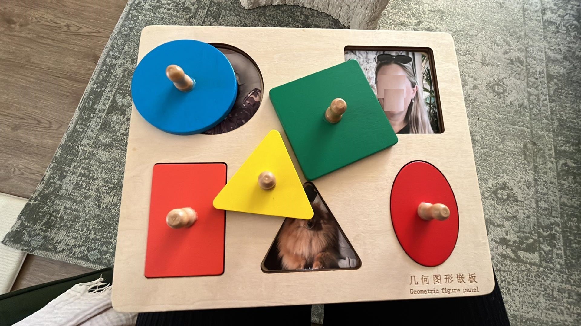 Montessori Seperate Geometric Shape Puzzle Set of 4