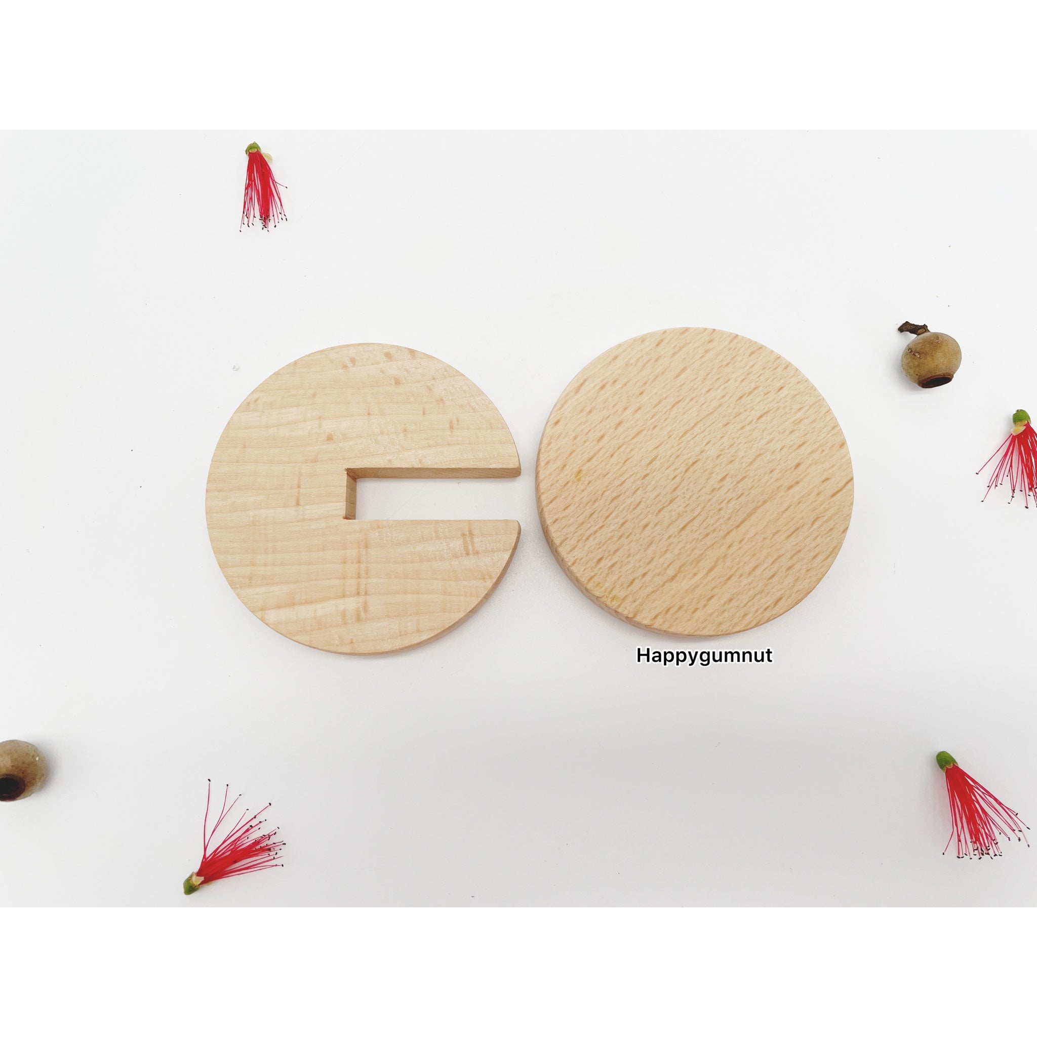 Montessori Interlock discs 2 styles