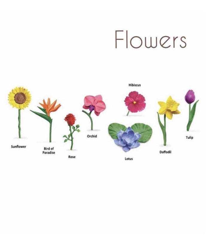 Montessori PVC FLOWERS Toy Set of 8