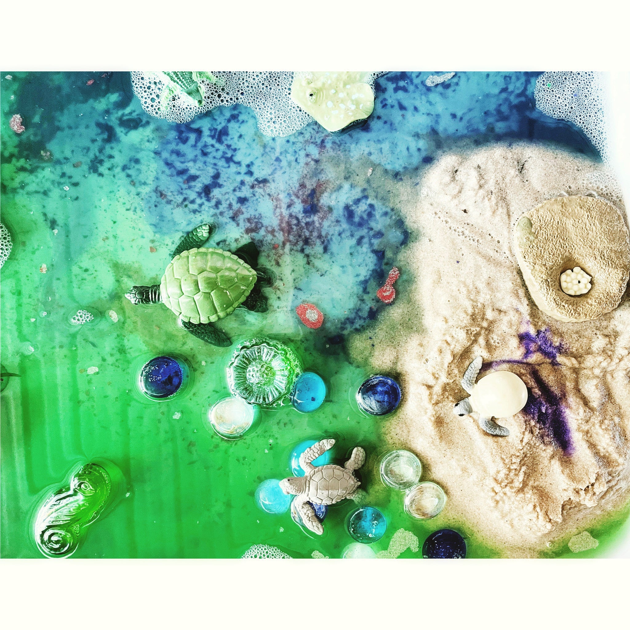 Turtle Life Cycle Toy Sea turtle Lifespan Life expectancy Model Figurines for Kindergarten