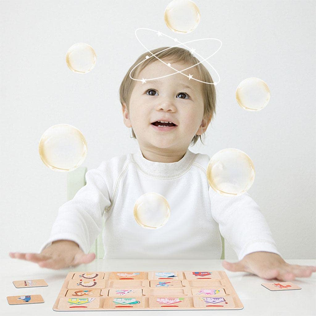 Enakshi® Matching Puzzles Wood Craft Toys Finding House Montessori for Toddlers|Baby | Toys for Baby | Developmental Baby Toys