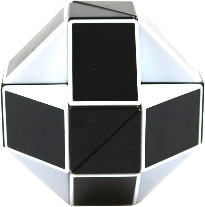 24 Parts 3D Black and White Ruler Twist Toy Snake Puzzle Kid Game Toy