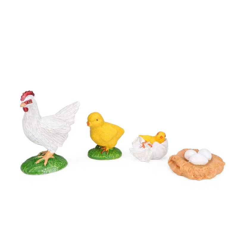 Chicken Life Cycle Toy of Hens Life Expectancy Model Figurines