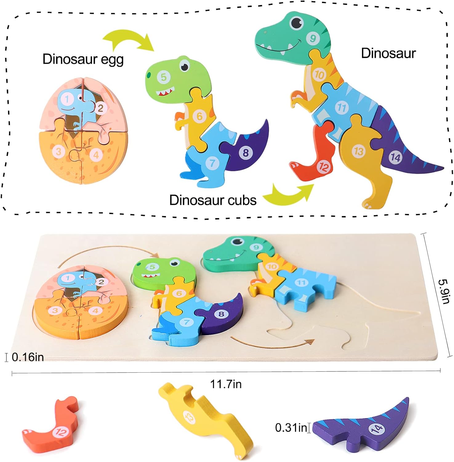 Fidtoy 3D Cognitive Puzzle of Animal Growth - Random Animals, Wooden Animal Growth Puzzle with Numbered Pieces, Montessori Nature Learning Toy for Kids