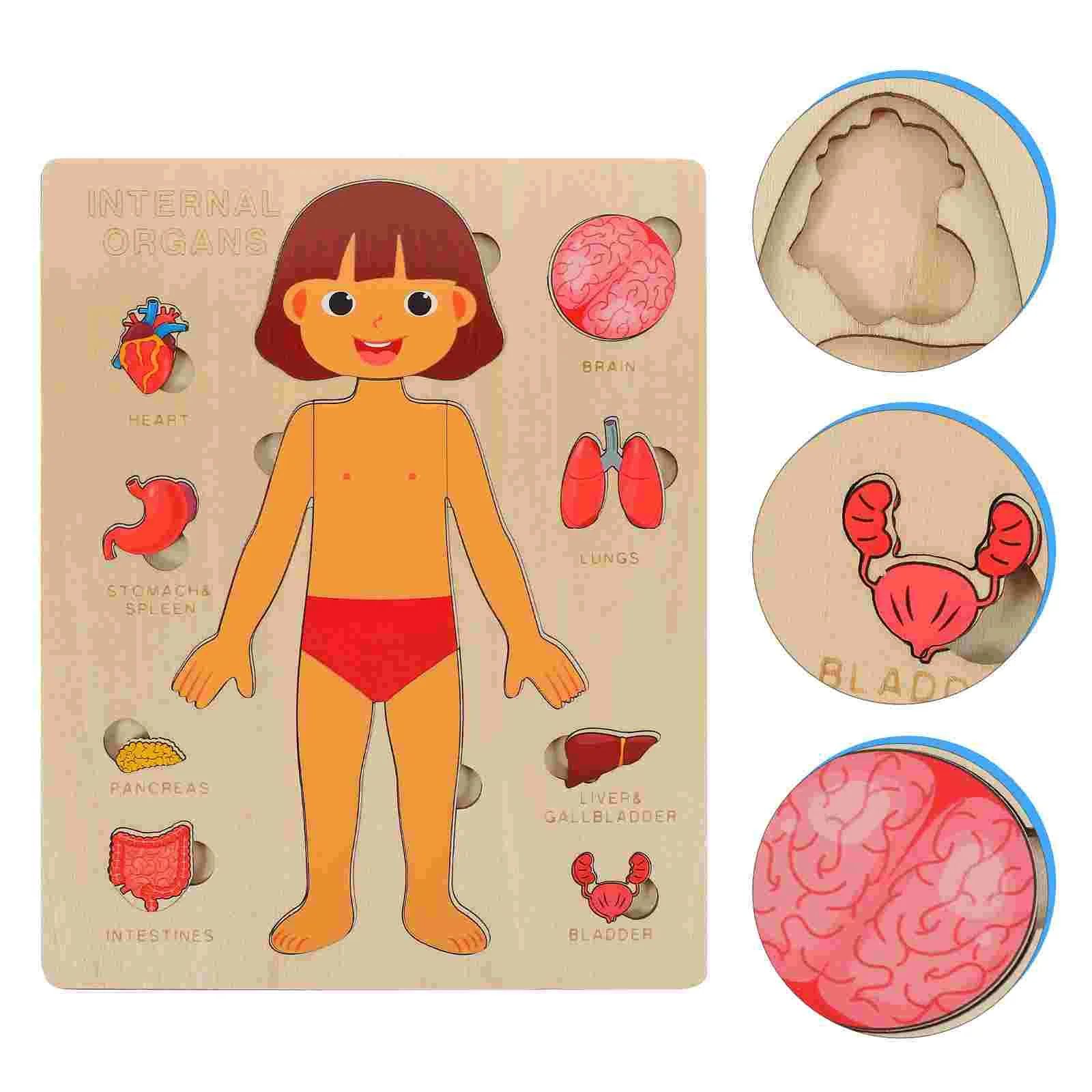 Wooden Montessori Human Body Puzzle - Educational Learning Toy for Kids
