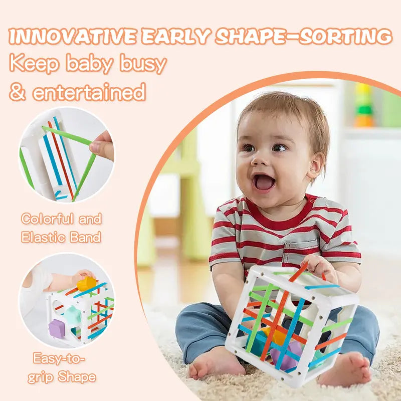 Montessori Baby Shape Sorter