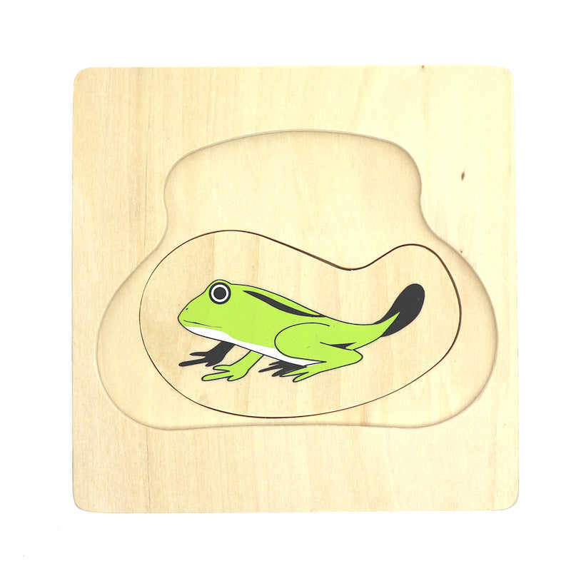 Montessori Animal Life Cycle Layer Puzzles