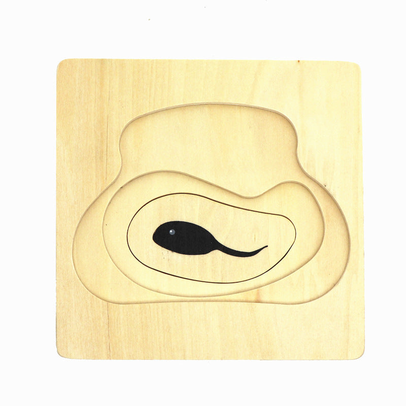 Montessori Animal Life Cycle Layer Puzzles