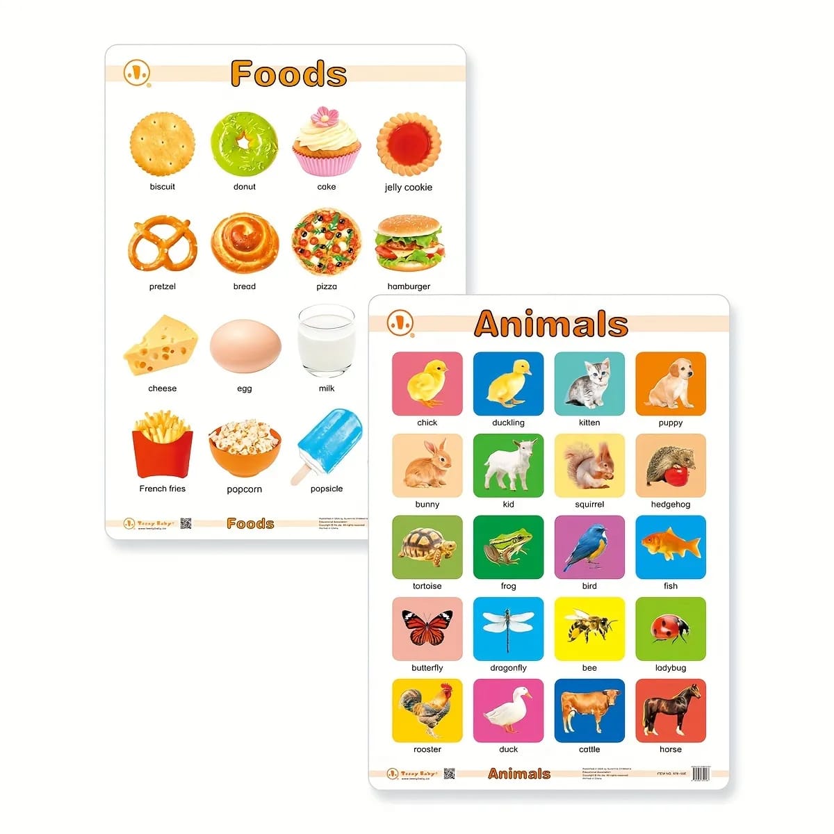 12in1 Object Recognition Education Posters with Erasable Board