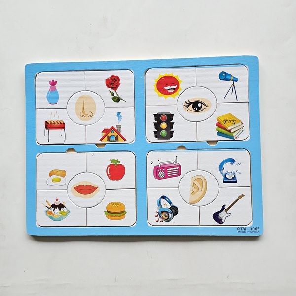 Wooden Matching Puzzle - Sense Organ - EKT3102