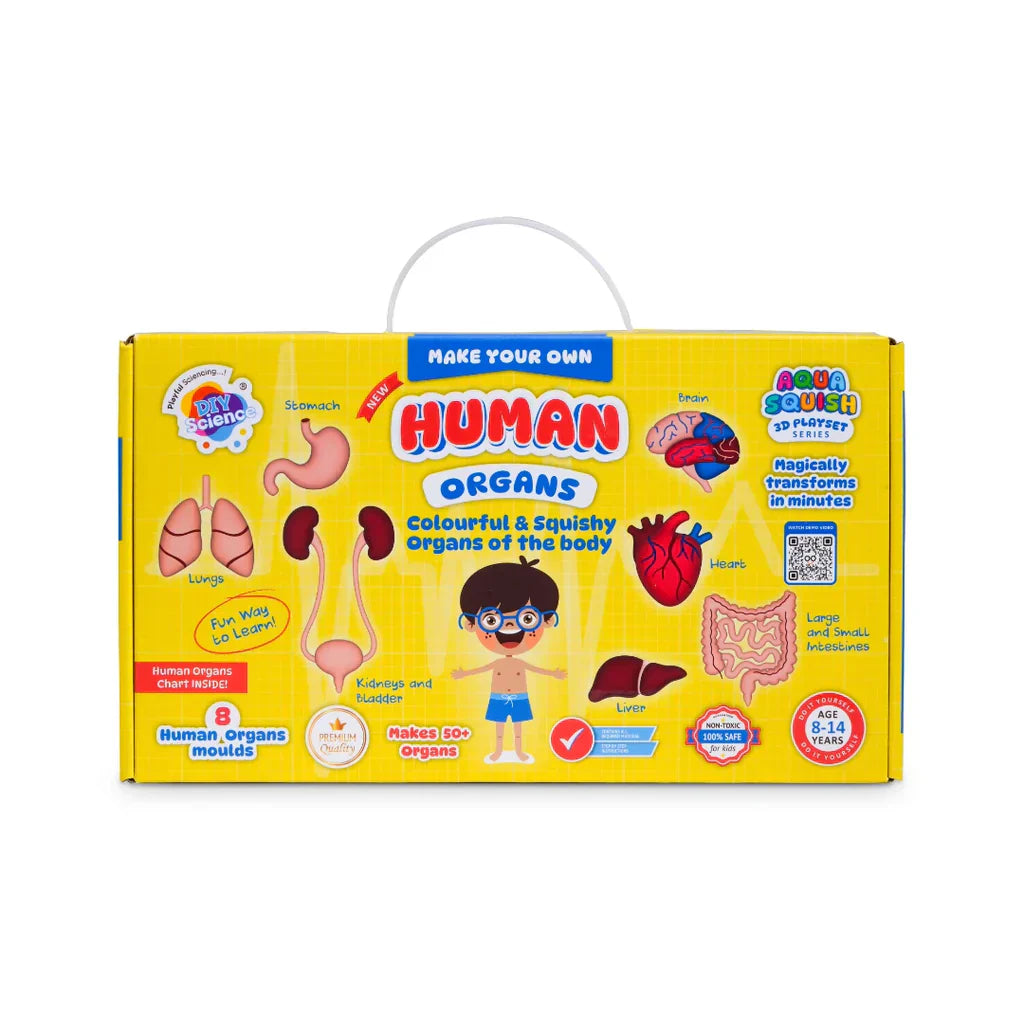 Human Organs Aqua Squish Kit for Kids 100% Safe & Non Toxic - EKT3665