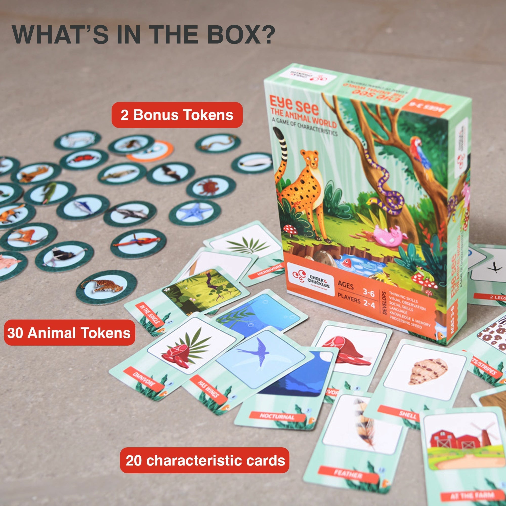 Creature Clues The Eye Game | Animals Theme - EKT3696