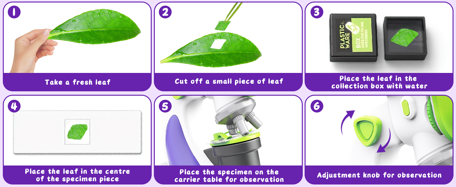 Kids Microscope 100x 400x 1200x Portable Microscope Kit with LED Light and Slide Beginner Educational Science Kit Study Educational Toys