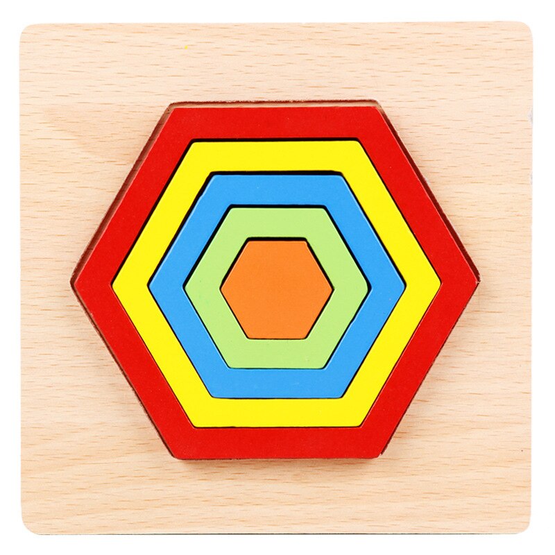 Toddler Montessori Shape Sorting Puzzle