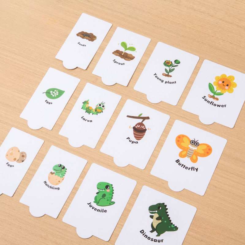 Wooden Growth Process Learning Puzzle Set