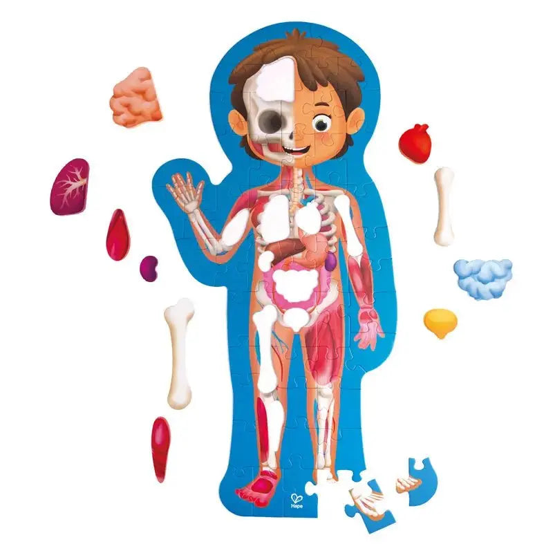 Fidtoy Human Body Puzzle Educational Anatomy Toy for Kids