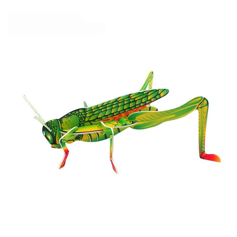 Insect Cognitive Baby Toys