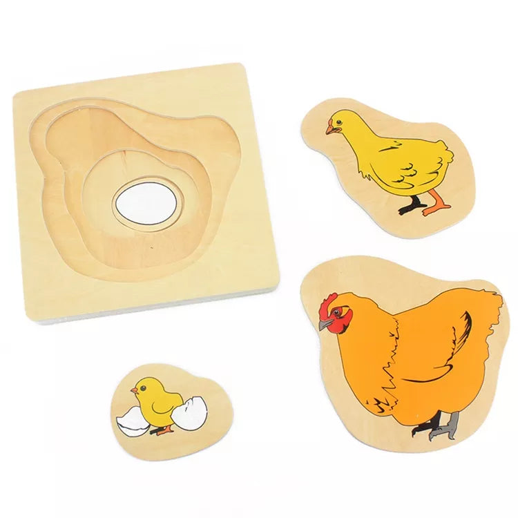 Montessori Animal Life Cycle Layer Puzzles