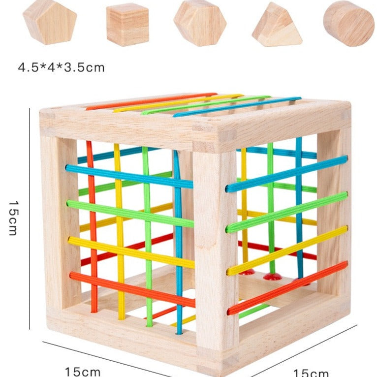 Wooden Shape Insert Box - Best Fine Motor Skill Toy