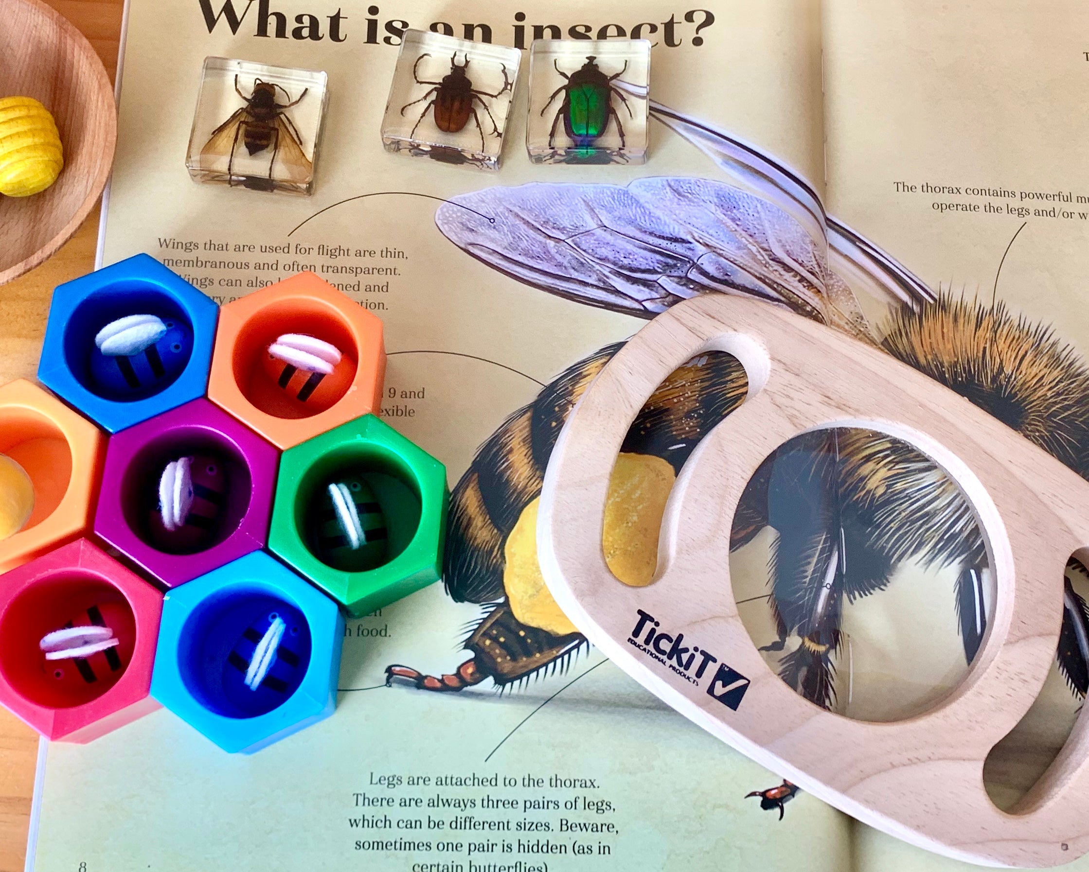 Montessori Beehives Bee Catching Game Colour Sorting Stacking Toy