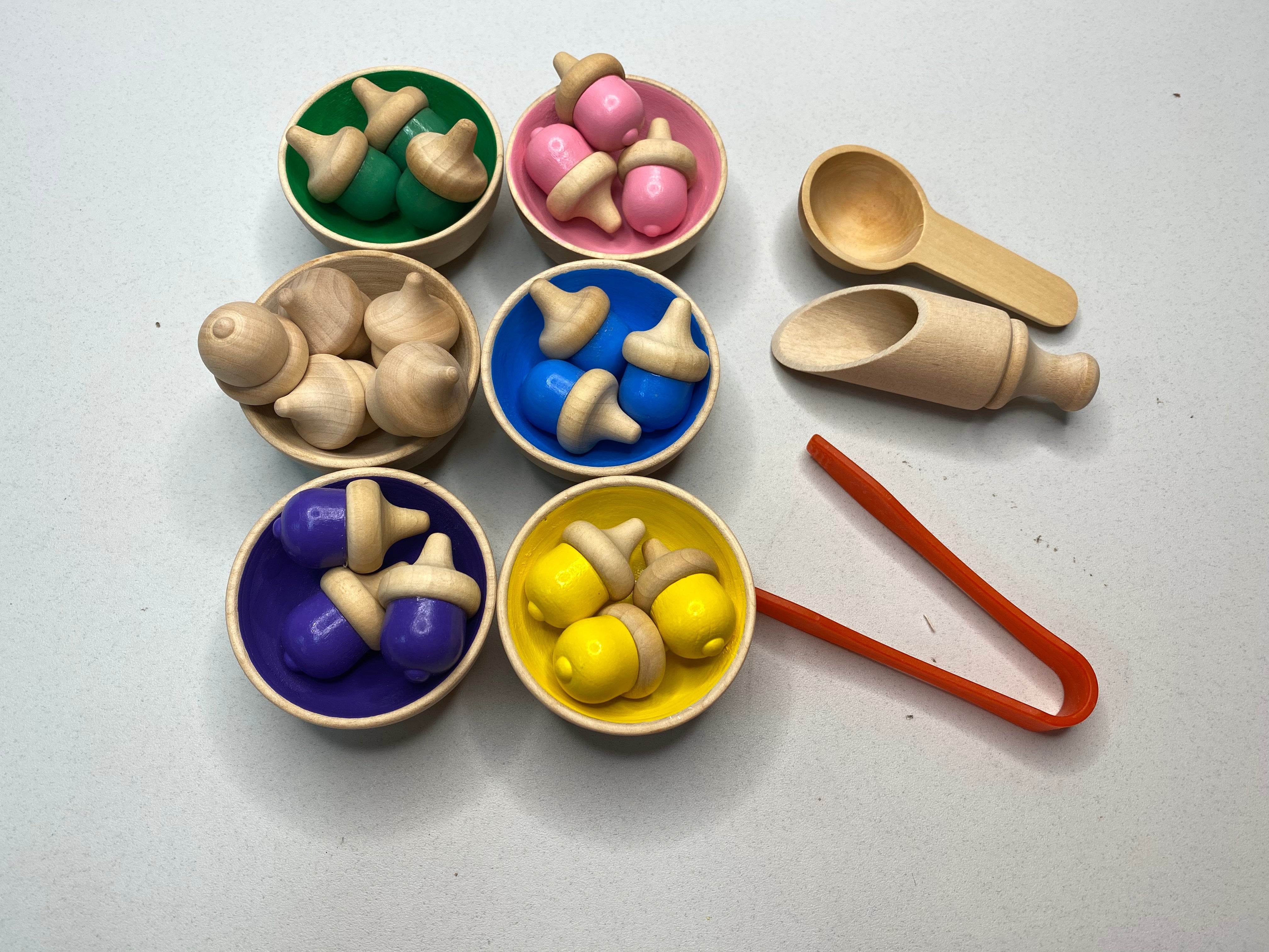 Colour Sorting Gumnuts and Bowls with Tools