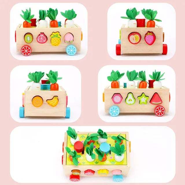 Montessori Multifunction Farm Orchard Intelligence Car