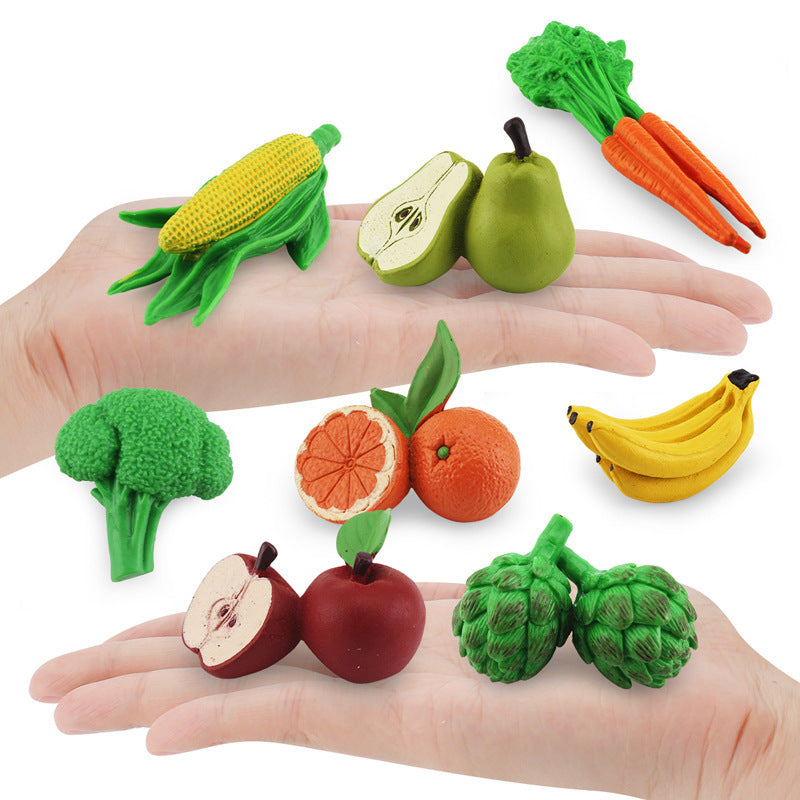 Fruit and Vegetables Figurines Model Toy for Kindergarten Life Cycle A