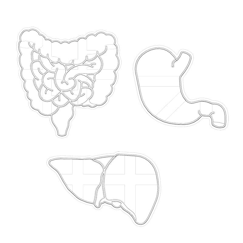 Cookie Play Dough Shape Stencil Human Organs Pack