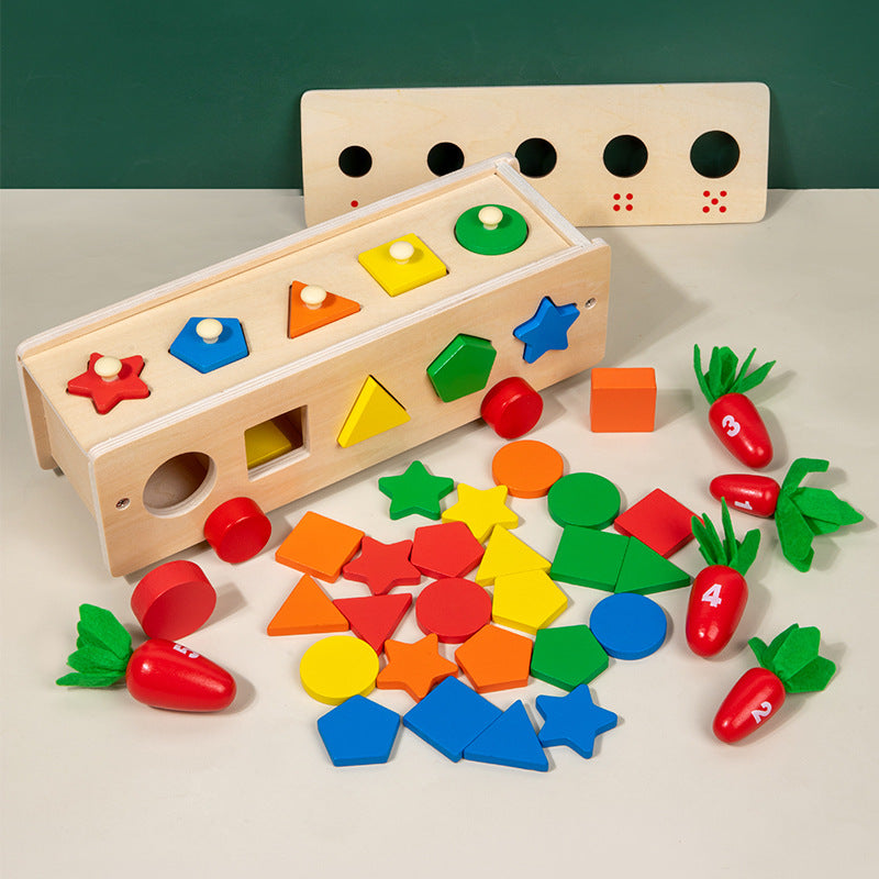 5 in 1 Classification Colour Shape Sorting Box Montessori inspired Kids Wooden Toy