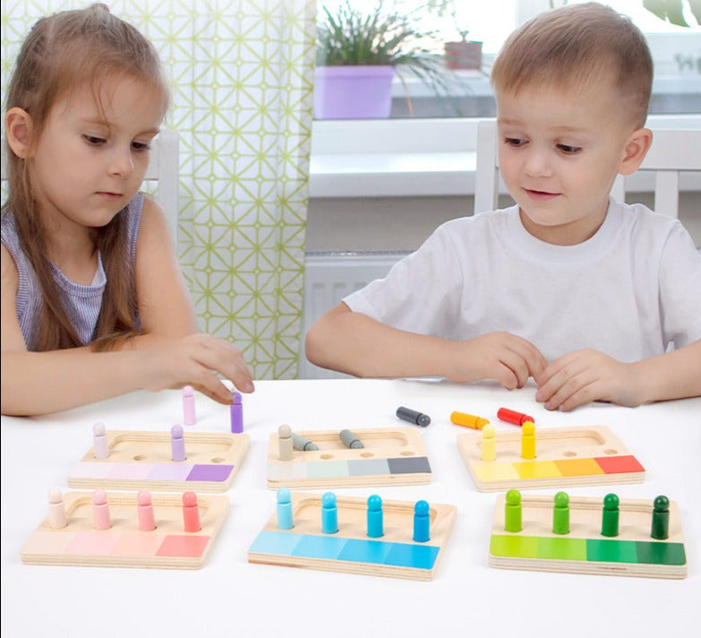 Montessori 6 Colour Resemblance Sorting Task Visual Sensory Toy