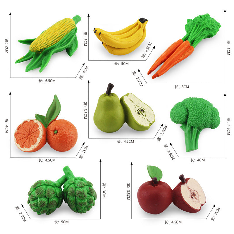 Fruit and Vegetables Figurines Model Toy for Kindergarten Life Cycle A