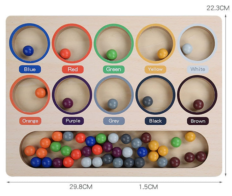 Montessori Colour Beads Sorting Tray Tong Transfer Activity