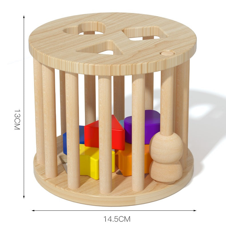 Montessori Rolling Ball Cylinder Shape Sorter Cube Toy