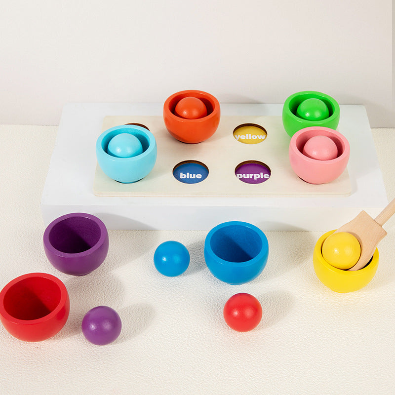 Montessori Colour Sorting Board with Ball and Cups