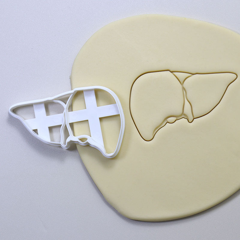 Cookie Play Dough Shape Stencil Human Organs Pack
