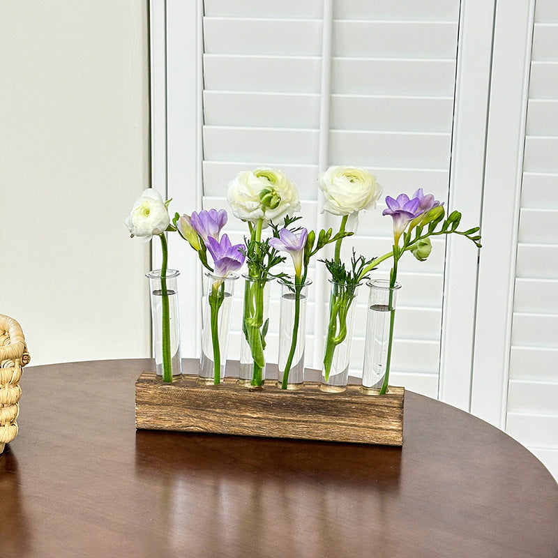 Test Tube hydroponics Science Learning Apparatus / Decor