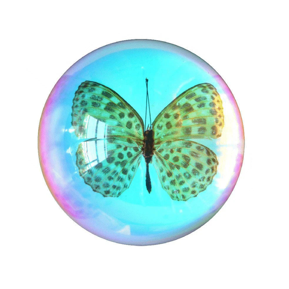 Butterfly Scorpion Spider Specimen Resin Hemisphere Domes Insects Bugs Circular Blocks Science Toy