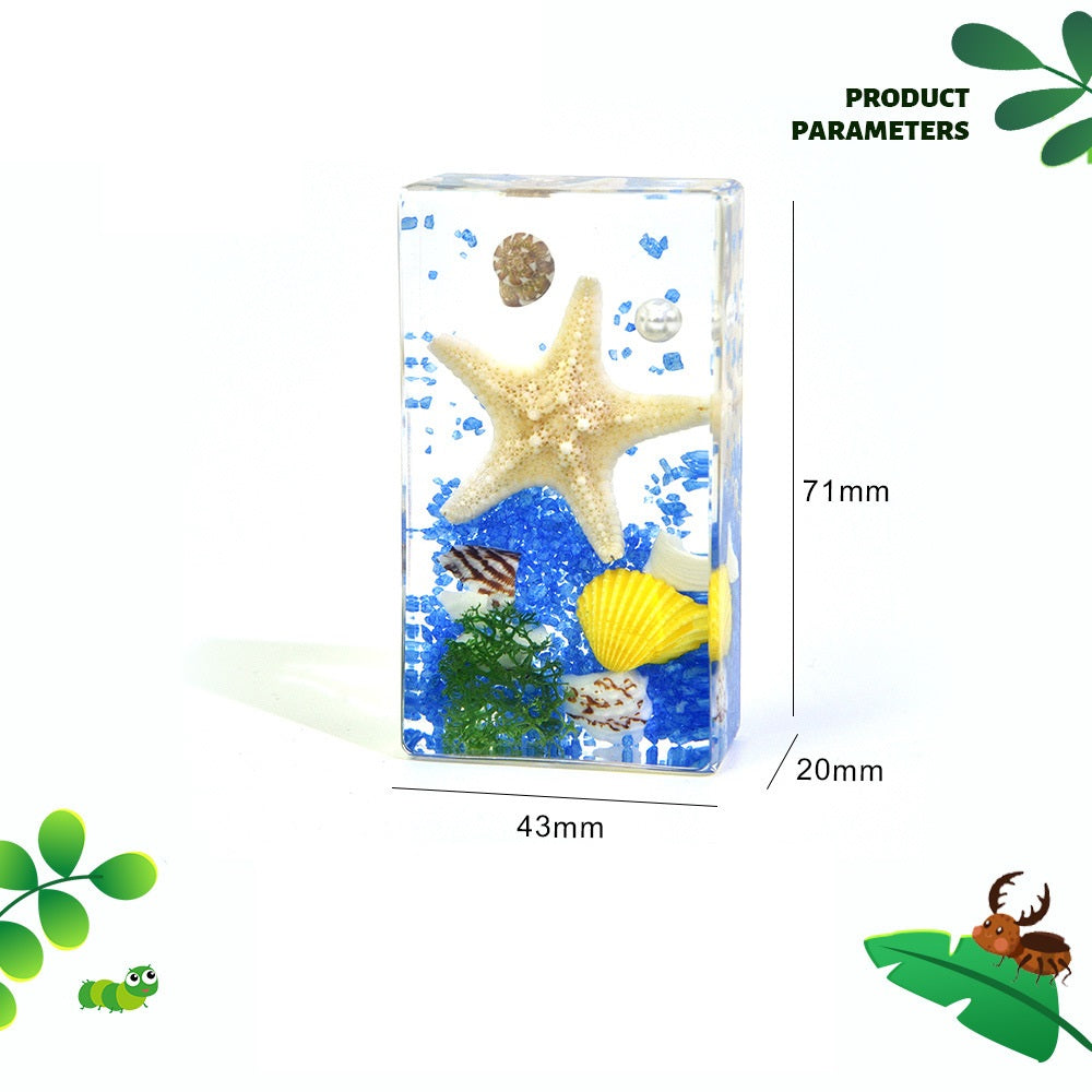 Tubby Star Fish Resin Environment Under the Sea