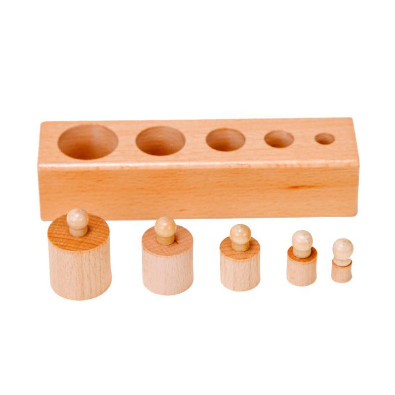 Montessori Knobbed Coloured Cylinders