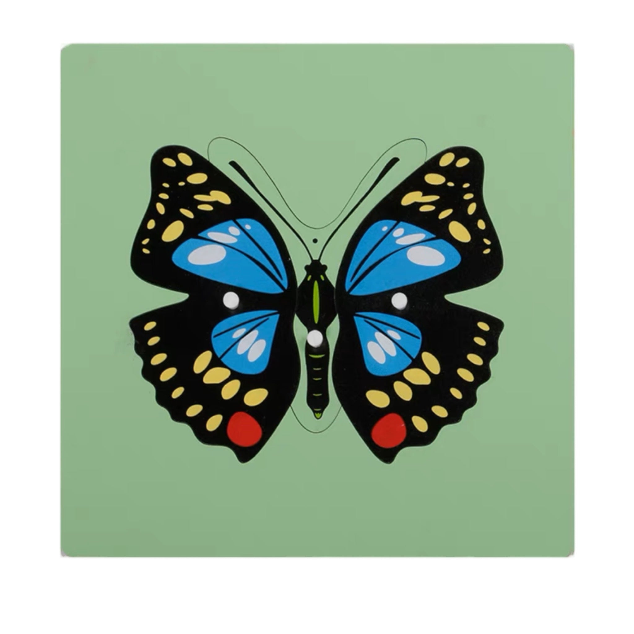 Montessori Animal Puzzles Turtle Bird Frog Horse Fish Rooster Ladybug Butterfly Wooden Educational Preschool Kindergarten Toy