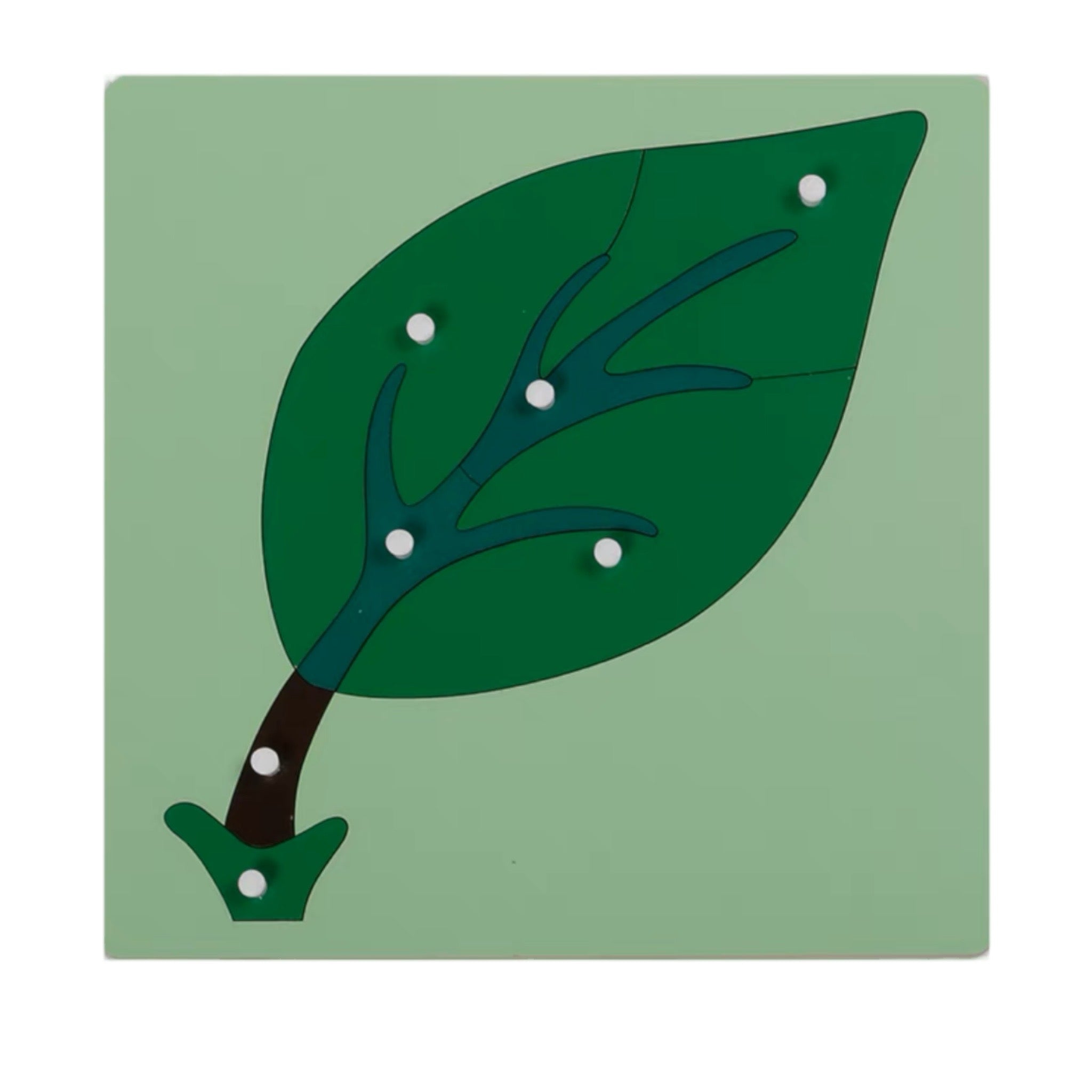 Montessori Plant Puzzles Tree Leaf Flower