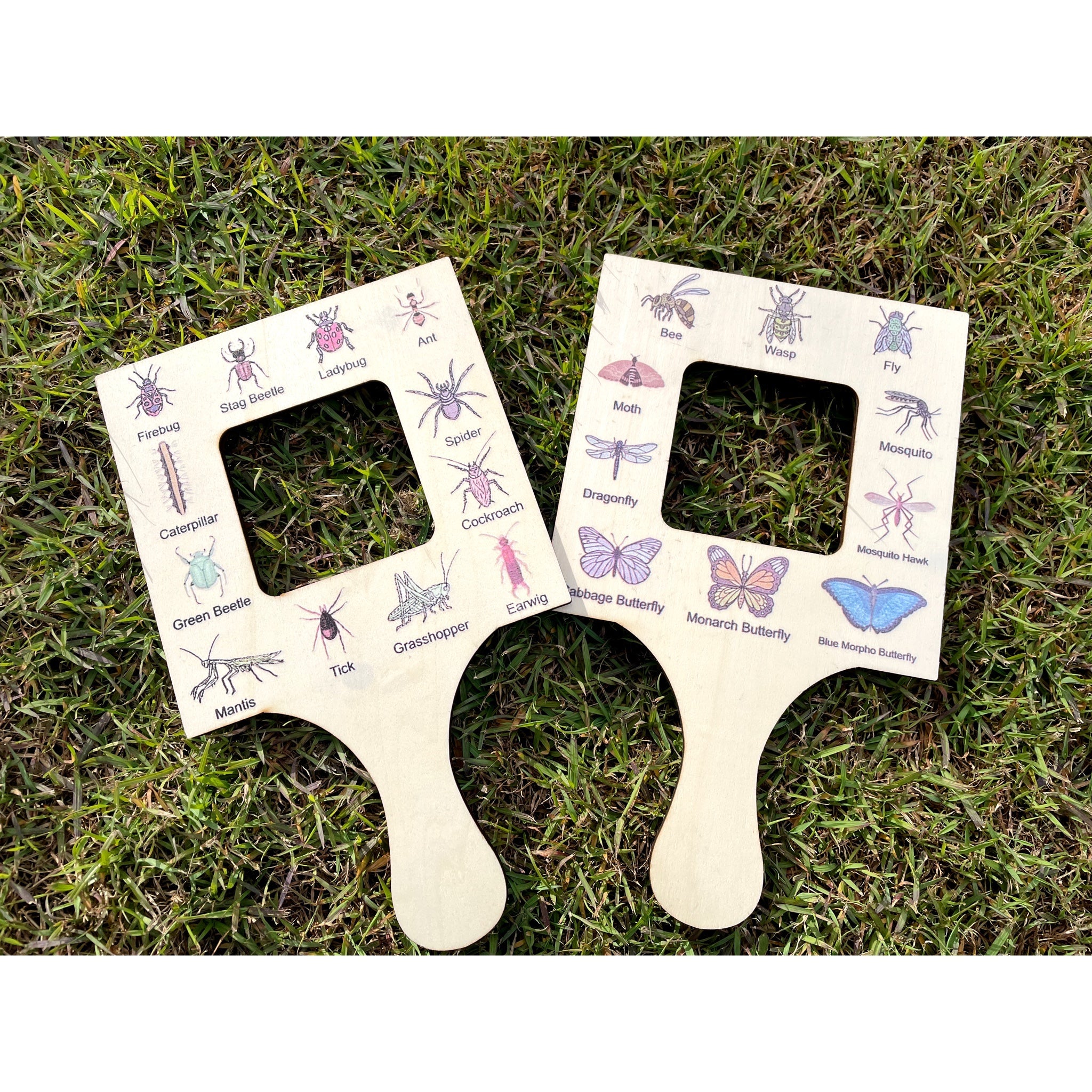 Large Wooden Pine Nature Guide View finder