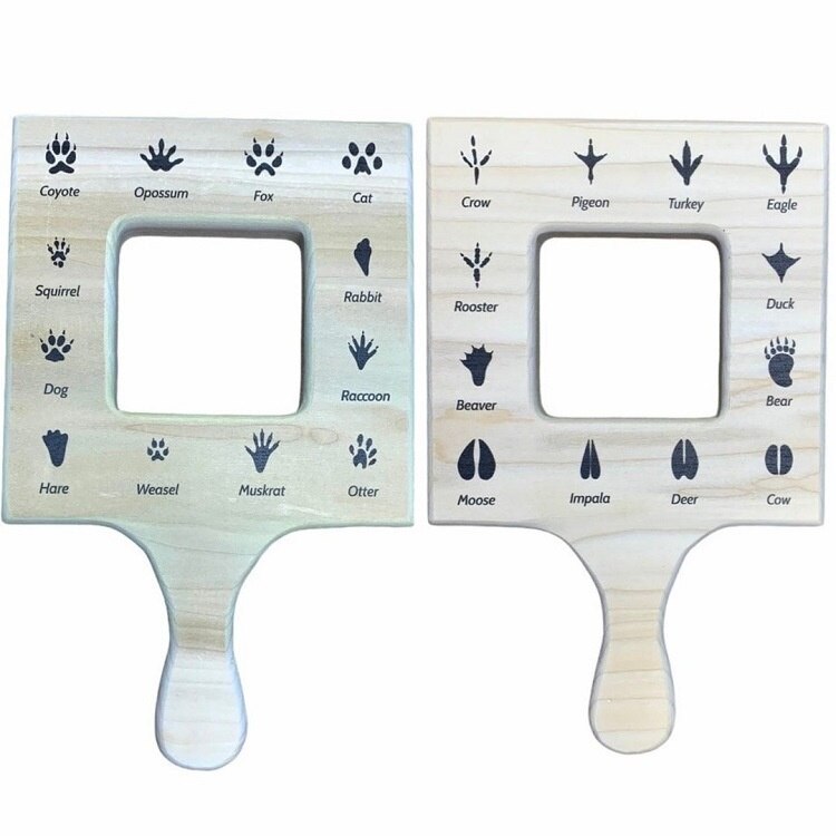 Fidtoy Montessori Nature Guide Finder Outdoor Learning Toy for Kids