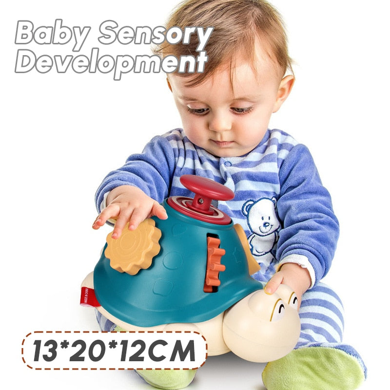 Toddler Montessori Baby Activity Turtle Toy
